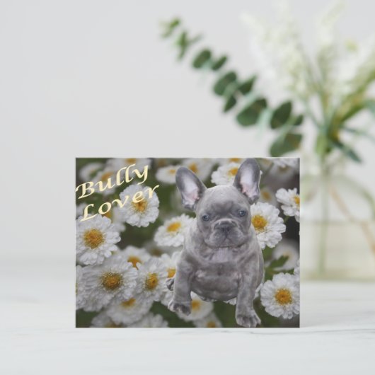 Französische Bulldogge Postkarte Briefkaart (Staand voorkant)