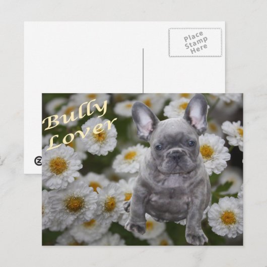 Französische Bulldogge Postkarte Briefkaart (Voorkant / Achterkant)