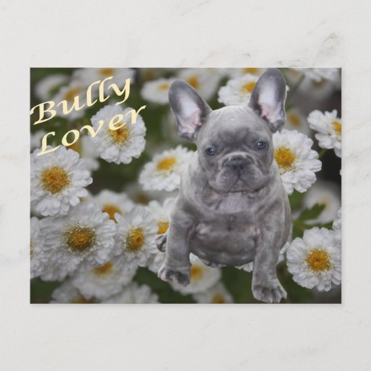 Französische Bulldogge Postkarte Briefkaart (Voorkant)