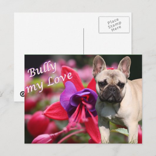 Französische Bulldogge Postkarte Briefkaart (Voorkant / Achterkant)