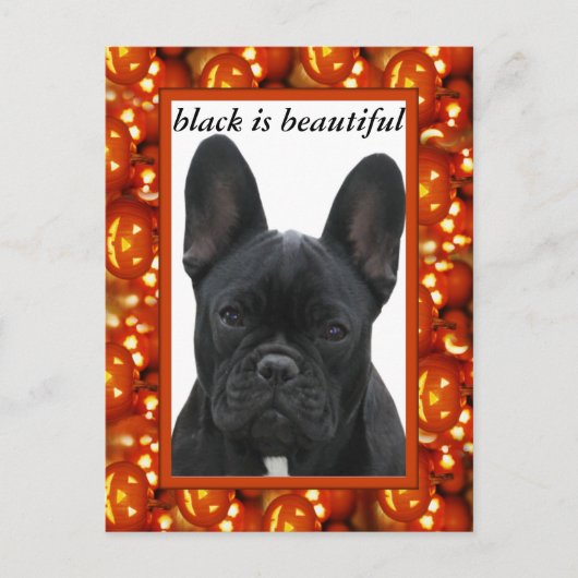Französische Bulldogge Postkarte Briefkaart (Voorkant)