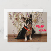 Französische Bulldogge Postkarte Karneval Briefkaart (Voorkant / Achterkant)