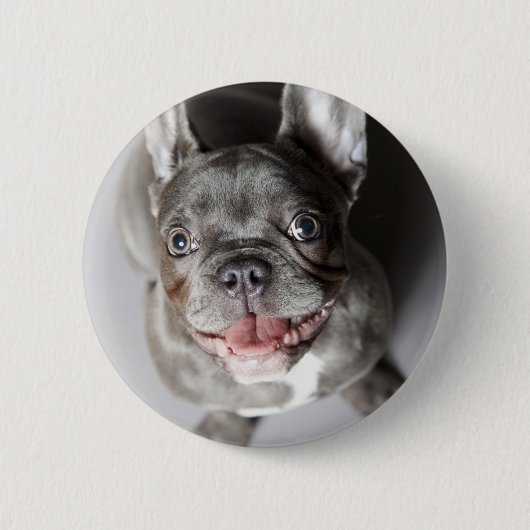 Französische Bulldogge Ronde Button 5,7 Cm (Voorkant)