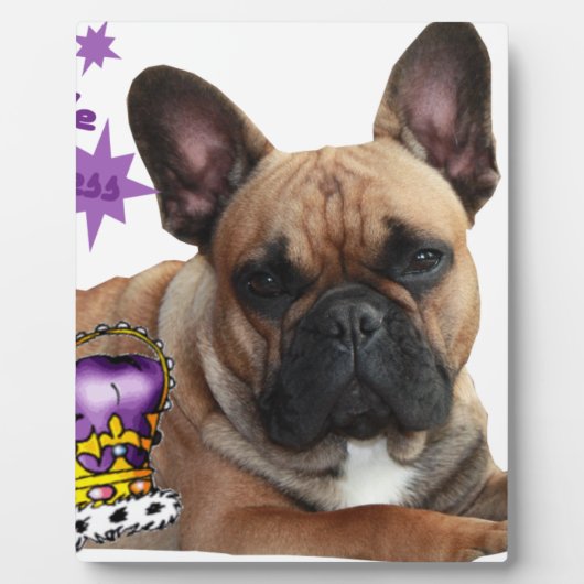 Französische Bulldogge Schautafel Fotoplaat (Voorkant)