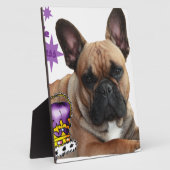 Französische Bulldogge Schautafel Fotoplaat (Zijkant)
