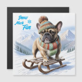 Französische Bulldogge Schlitten  French Bulldog (Voorkant / Achterkant)