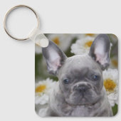 Französische Bulldogge Schlüsselanhänger Sleutelhanger (Voorkant)