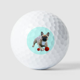 Französische Bulldogge Sprung French Bulldog  Golfballen