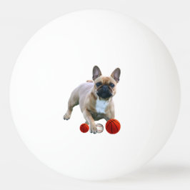 Französische Bulldogge Sprung French Bulldog  Pingpongbal
