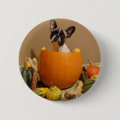 Französische-Bulldogge Sticker Button Halloween (Voorkant)