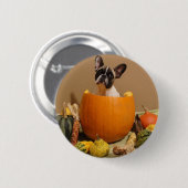 Französische-Bulldogge Sticker Button Halloween (Voorkant /achterkant)