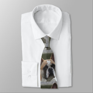 Französische Bulldogge Stropdas