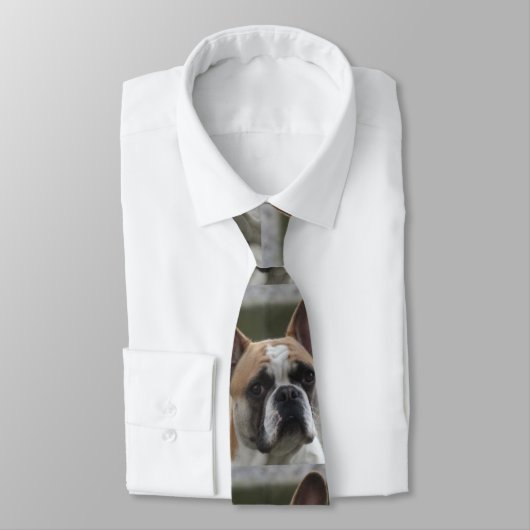 Französische Bulldogge Stropdas (Gebonden)