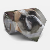 Französische Bulldogge Stropdas (Opgerold)