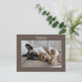 Französische Bulldogge Teddy French Bulldog Briefkaart (Staand voorkant)