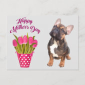 französische Bulldogge Tulpen French Bulldog Briefkaart (Voorkant)