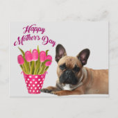 französische Bulldogge Tulpen French Bulldog Briefkaart (Voorkant)