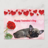 Französische Bulldogge Valentinstag French Bulldog Briefkaart (Voorkant)