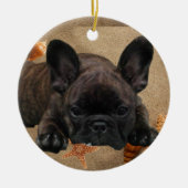 Französische Bulldogge Weihnachtsbaum Ornament (Voorkant)