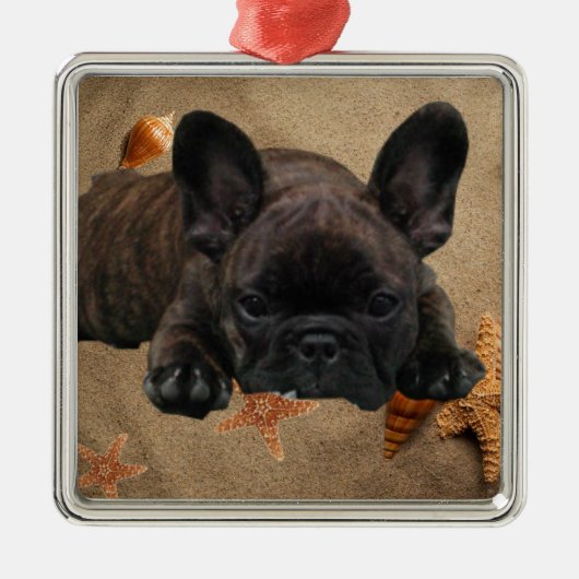 Französische Bulldogge Weihnachtsbaum Ornament (Voorkant)