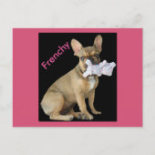 Französische Bulldogge Welpe French Bulldog Briefkaart (Voorkant)
