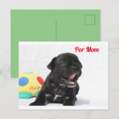 Französische Bulldogge Welpe French Bulldog Briefkaart (Voorkant / Achterkant)