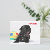 Französische Bulldogge Welpe French Bulldog Briefkaart (Staand voorkant)