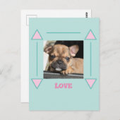 Französische Bulldogge Welpe French Bulldog Briefkaart (Voorkant / Achterkant)