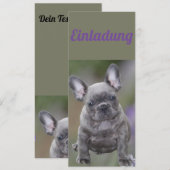 Französische Bulldogge Welpe French Bulldog Kaart (Voorkant / Achterkant)