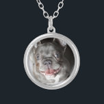 Französische Bulldogge Zilver Vergulden Ketting<br><div class="desc">Modehund,  Französische Bulldogge,  Welpe,  Haustier,  Hund,  Welpen,  Tier,  Hunde,  Bulldog,  Bulldogge,  french bulldog,  pets,  dogs,  puppies,  dog,  französische Bulldogge,  bulldog,  puppy,  dog fashion,  pet</div>