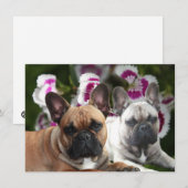 Französische Bulldogge zwei Freunde French Bulldog Kaart (Voorkant / Achterkant)