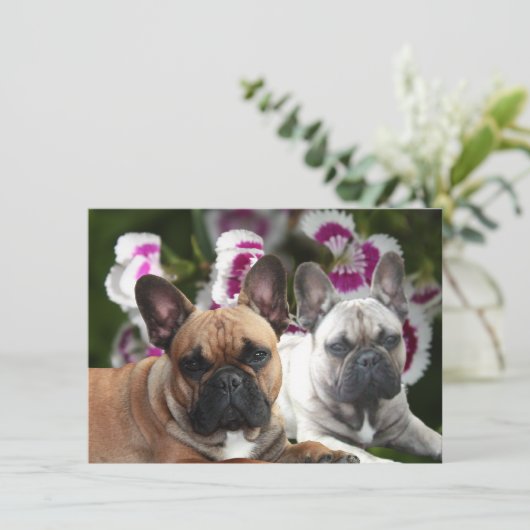 Französische Bulldogge zwei Freunde French Bulldog Kaart (Staand voorkant)