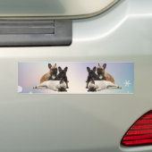 Französische Bulldoggen Autoaufkleber Bumpersticker (Op auto)