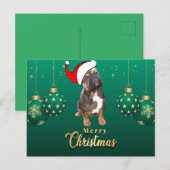  französische Bulldoggen Christmas French Bulldog  Briefkaart (Voorkant / Achterkant)