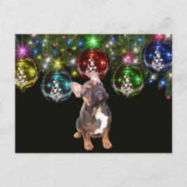  französische Bulldoggen Christmas French Bulldog Briefkaart