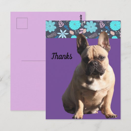  französische Bulldoggen Dankeschön French Bulldog Briefkaart (Voorkant / Achterkant)