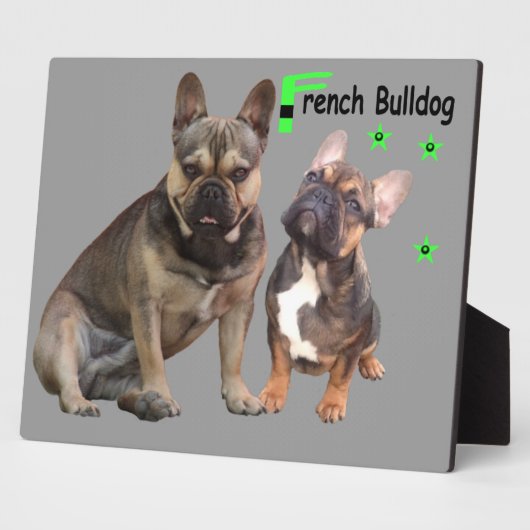 Französische Bulldoggen Fotoplaat (Zijkant)