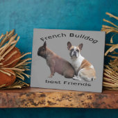 Französische Bulldoggen Fotoplatte Fotoplaat (Zijkant)