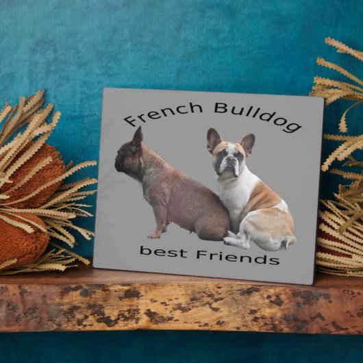 Französische Bulldoggen Fotoplatte Fotoplaat (Zijkant)