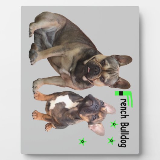 Französische Bulldoggen Fotoplatte Fotoplaat (Voorkant)