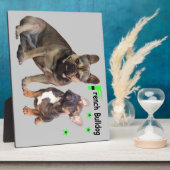 Französische Bulldoggen Fotoplatte Fotoplaat (Zijkant)