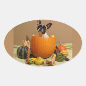 Französische Bulldoggen Halloween Aufkleber Ovale Sticker (Voorkant)