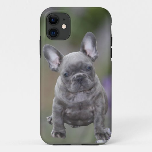 Französische Bulldoggen IPhone 11  Pad Hülle  Case-Mate iPhone Case (Achterkant)