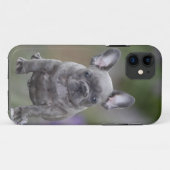 Französische Bulldoggen IPhone 11  Pad Hülle  Case-Mate iPhone Case (Achterkant (horizontaal))