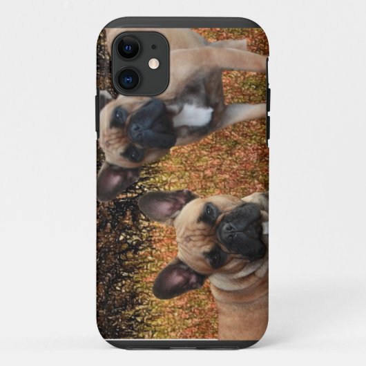 Französische Bulldoggen IPhone 5 Case Made (Achterkant)