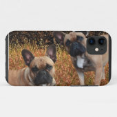 Französische Bulldoggen IPhone 5 Case Made (Achterkant (horizontaal))