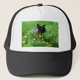 Französische Bulldoggen Kappe Trucker Pet