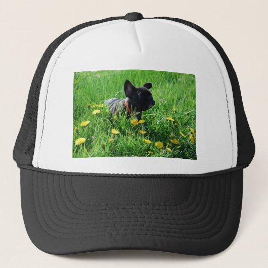 Französische Bulldoggen Kappe Trucker Pet (Voorkant)