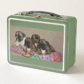 Französische Bulldoggen Kissen French Bulldog (Voorkant)