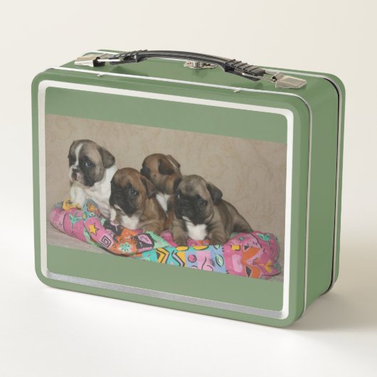 Französische Bulldoggen Kissen French Bulldog (Achterkant)